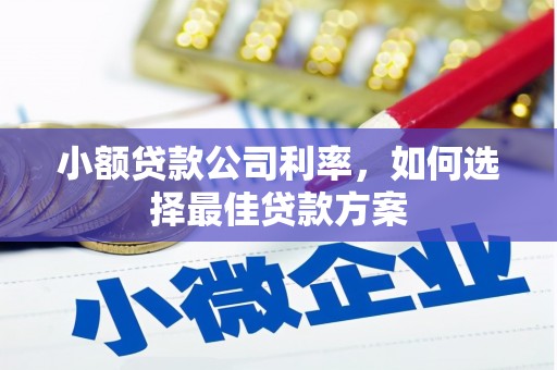 汝南小额贷款公司利率，如何选择最佳贷款方案