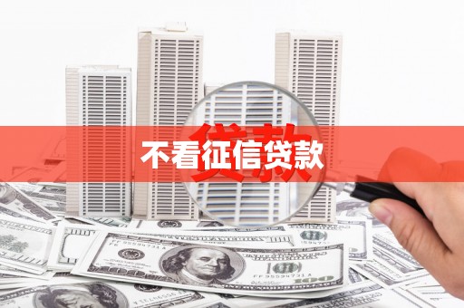 汝南不看征信贷款
