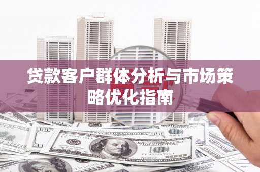 汝南贷款客户群体分析与市场策略优化指南
