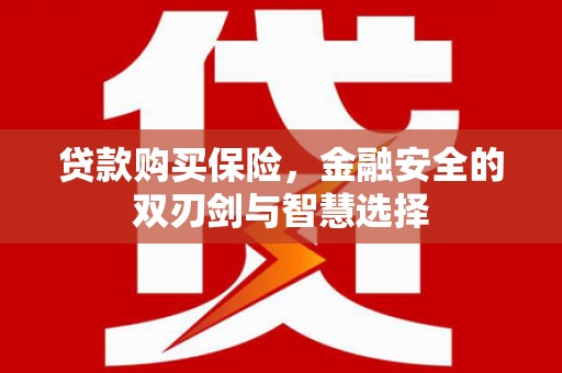 汝南贷款购买保险，金融安全的双刃剑与智慧选择