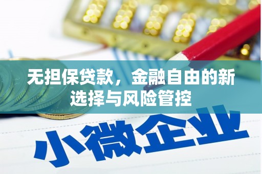 汝南无担保贷款，金融自由的新选择与风险管控