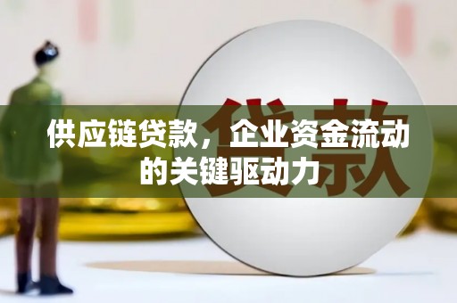 汝南供应链贷款，企业资金流动的关键驱动力