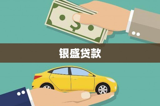 汝南银盛贷款