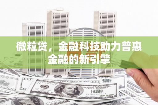 汝南微粒贷，金融科技助力普惠金融的新引擎