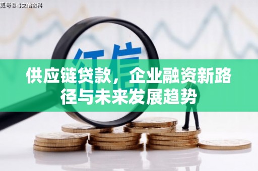 汝南供应链贷款，企业融资新路径与未来发展趋势