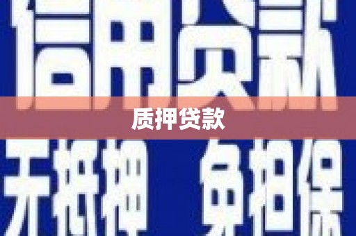 汝南质押贷款