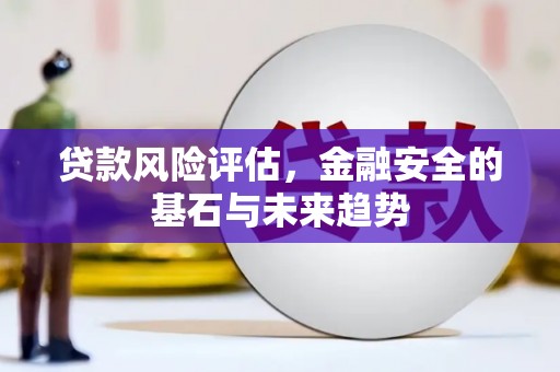 汝南贷款风险评估，金融安全的基石与未来趋势
