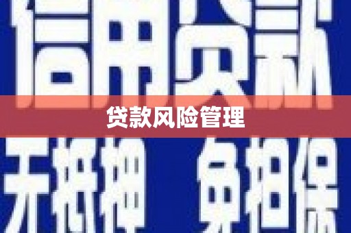 汝南贷款风险管理