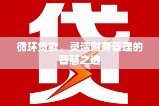 汝南循环贷款，灵活财务管理的智慧之选