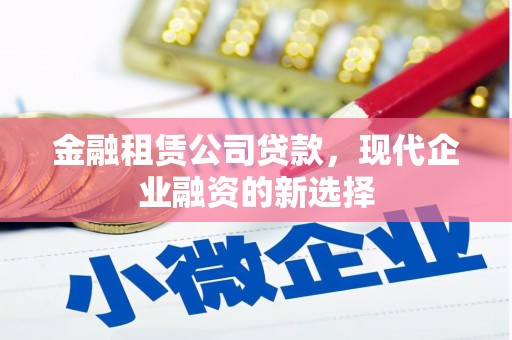 汝南金融租赁公司贷款，现代企业融资的新选择