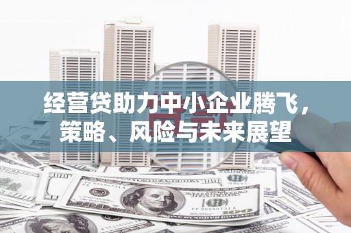 汝南经营贷助力中小企业腾飞，策略、风险与未来展望