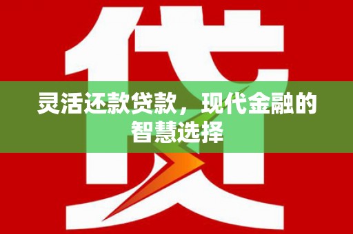 汝南灵活还款贷款，现代金融的智慧选择