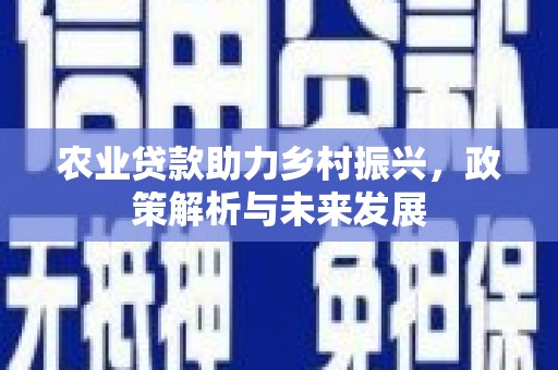 汝南农业贷款助力乡村振兴，政策解析与未来发展