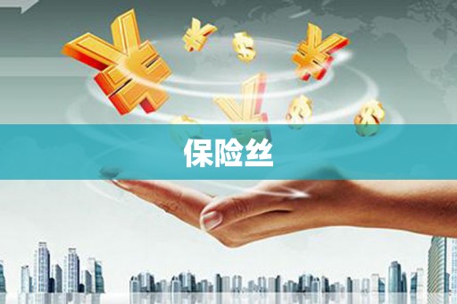 汝南保险丝