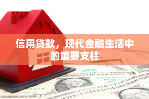 汝南信用贷款，现代金融生活中的重要支柱