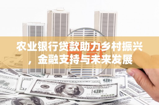 汝南农业银行贷款助力乡村振兴，金融支持与未来发展
