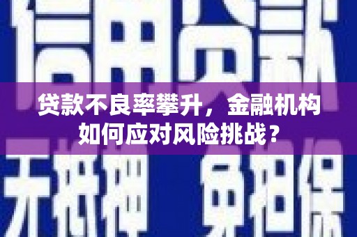 汝南贷款不良率攀升，金融机构如何应对风险挑战？