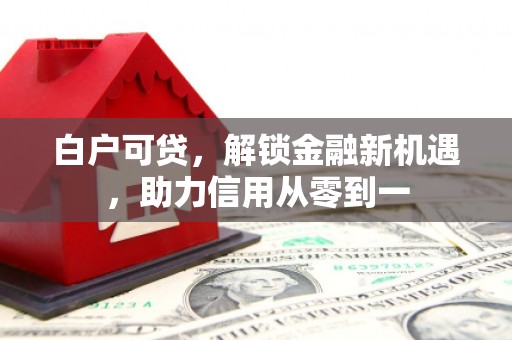 汝南白户可贷，解锁金融新机遇，助力信用从零到一