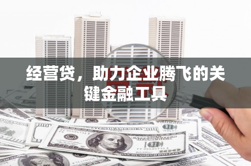 汝南经营贷，助力企业腾飞的关键金融工具