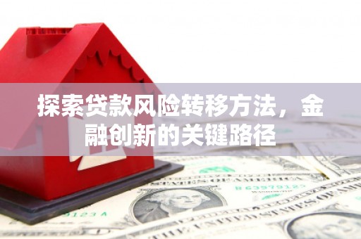 汝南探索贷款风险转移方法，金融创新的关键路径
