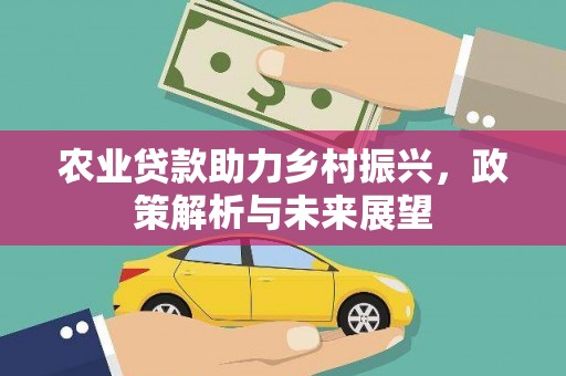 汝南农业贷款助力乡村振兴，政策解析与未来展望