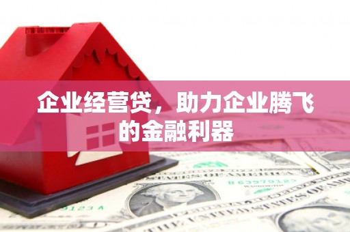 汝南企业经营贷，助力企业腾飞的金融利器