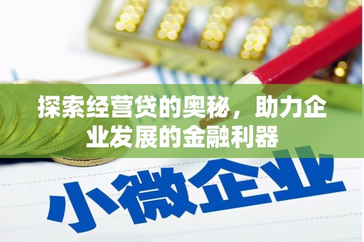 汝南探索经营贷的奥秘，助力企业发展的金融利器