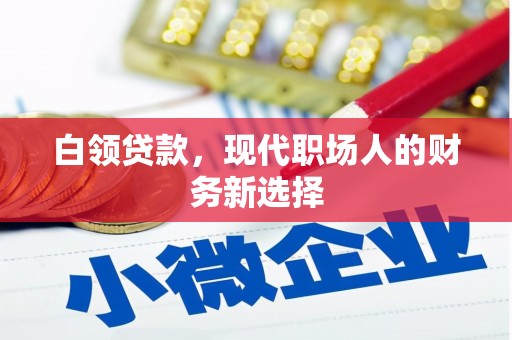 汝南白领贷款，现代职场人的财务新选择