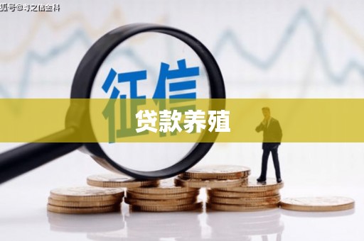 汝南贷款养殖