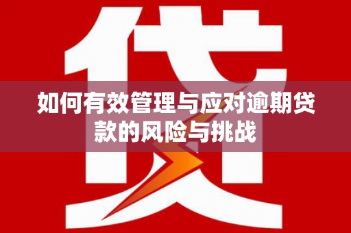 汝南如何有效管理与应对逾期贷款的风险与挑战
