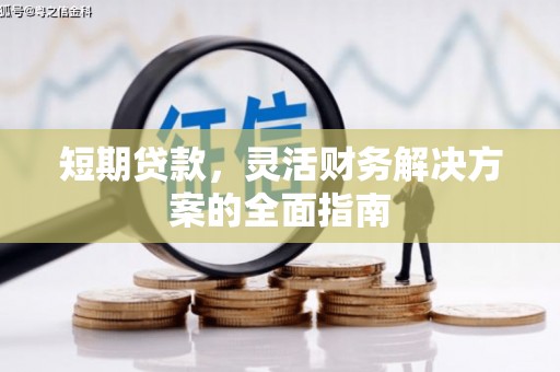 汝南短期贷款，灵活财务解决方案的全面指南