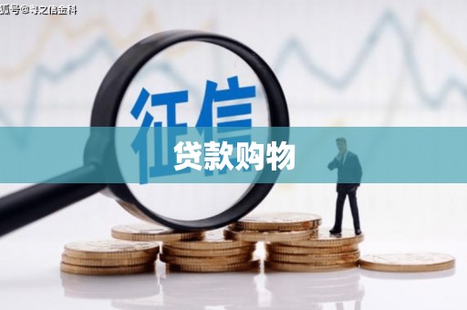 汝南贷款购物