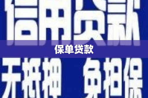 汝南保单贷款