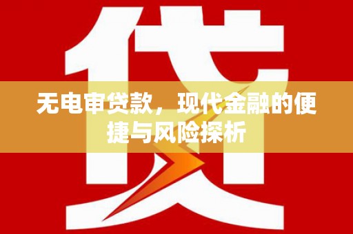 汝南无电审贷款，现代金融的便捷与风险探析