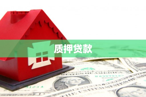 汝南质押贷款