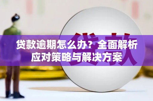 汝南贷款逾期怎么办？全面解析应对策略与解决方案