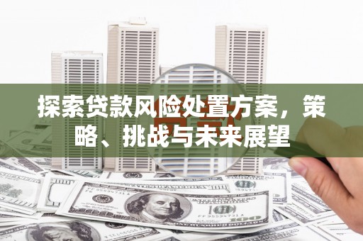 汝南探索贷款风险处置方案，策略、挑战与未来展望
