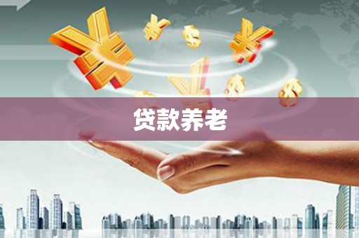 汝南贷款养老