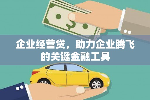 汝南企业经营贷，助力企业腾飞的关键金融工具