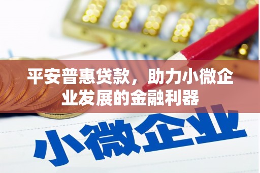 汝南平安普惠贷款，助力小微企业发展的金融利器