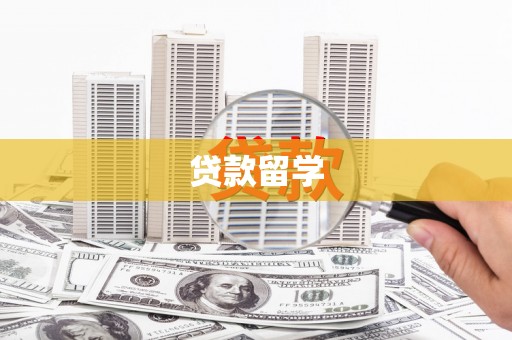 汝南贷款留学