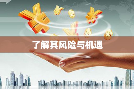 汝南了解其风险与机遇