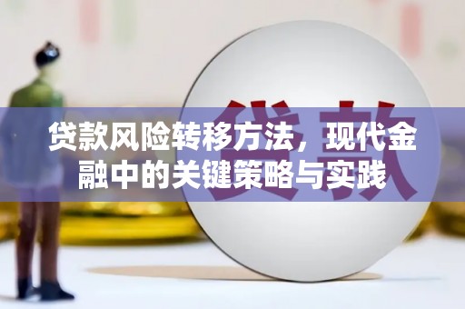 汝南贷款风险转移方法，现代金融中的关键策略与实践