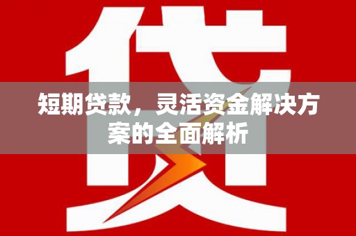 汝南短期贷款，灵活资金解决方案的全面解析