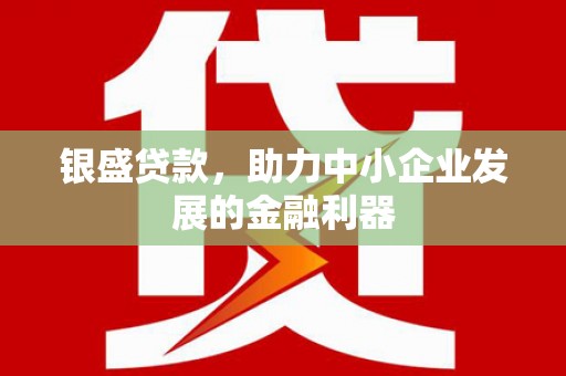 汝南银盛贷款，助力中小企业发展的金融利器