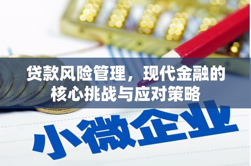汝南贷款风险管理，现代金融的核心挑战与应对策略