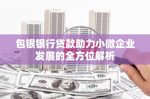 汝南包银银行贷款助力小微企业发展的全方位解析