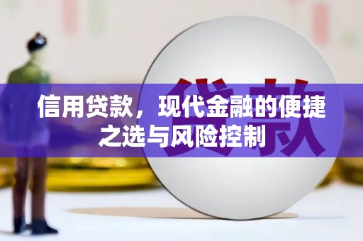 汝南信用贷款，现代金融的便捷之选与风险控制