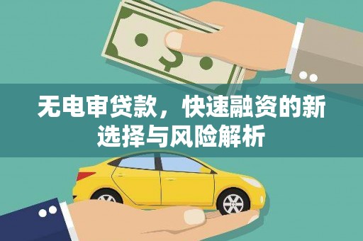 汝南无电审贷款，快速融资的新选择与风险解析
