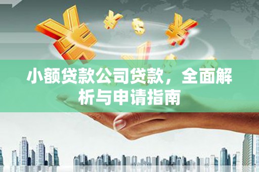 汝南小额贷款公司贷款，全面解析与申请指南